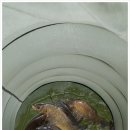 하늘낚시공원낚시터 이미지