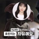 꼬생방 - 장흥군 | 5월 일상: 다섯째 주 (피티 쌤이 보면 경악할 듯)