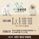 루아동물병원 이미지
