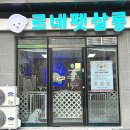 르네펫살롱 이미지