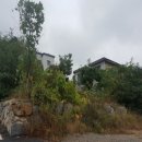 산 목장 이미지