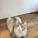 샤론민박 이미지