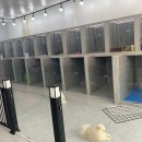 마이펫 룸 이미지