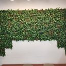 안경상회 연남점 이미지