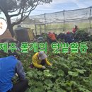 협동조합고랑이랑 | Day 9. 땅을 일구며 마음을 키우다 – 제주 폴개의 텃밭 가꾸기로 실현하는 진로교육과 치유 원예