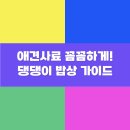 댕댕이밥상 이미지