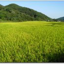 버스정류장 06-338 이미지