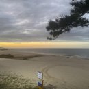 본미미 민박 이미지