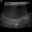 이음동물병원 이미지