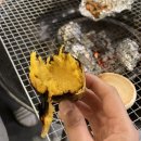 멍펜션12 이미지