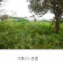 강정동-29 네이버블로그