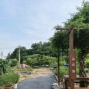 [인천/남동구 맛집] 깊고 담백한 국물이 일품인...왕갈비국수전골 솔직 후기(주차꿀팁, 웨이팅꿀팁...