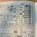 서울티비씨 | 즐거웠던 2026 파크콘서트 후기