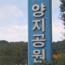 양지-3300 이미지