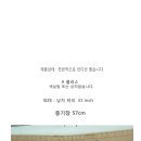 리바이스,퀵실버,ZARA 남성 여름 카고 반바지 이미지