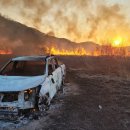 금호강변 이미지