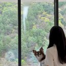 빌라드루이 이미지