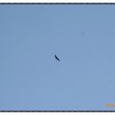 캠바이오 이미지