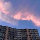 [쉬플리 세일즈] 수주의 핵심은 전략이다. Powerful한 제안 전략 | ⚡️ 퀵메모 - 링크드인 등 스터디