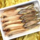 군산박대
