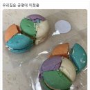사적인프로젝트 네이버블로그