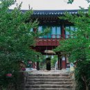 호남축산 | [전라남도 보성군] 대원사 티벳박물관