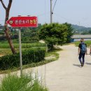 판관오리 이미지