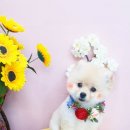 뭉치쌀롱 이미지