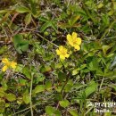 미래로목장 이미지