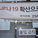 양지-19 이미지