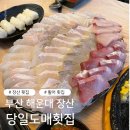 당일도매횟집 | 부산 해운대 장산 당일도매횟집 방문 후기