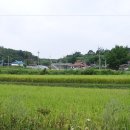 팔왕마을 이미지