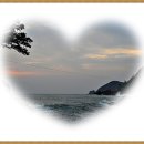 배명고등학교 이미지