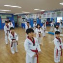 용인대 활기찬 태권도장 이미지