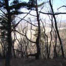 2015021대추남만디.대운산.시명산.석은덤산.함박산산행