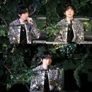 데이릴리(Daylily) 이미지