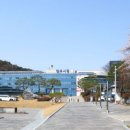 남면약국
