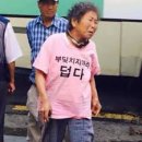 전일양계장 네이버블로그