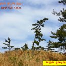 솔향기길 주차장 이미지