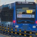 자유무역지역2공구 | 창원 간선버스 107번 노선정보(Ver. 260218)(2.0버전)