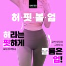 엉덩이, 골반지방이식가격 110만원 골반지방이식 전후 사진有 [허핏볼업]