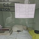 아람동물병원 이미지