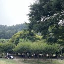 광주동초등학교 | [광주] 북구 망월동 실외애견카페 개구쟁이