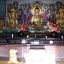 동명불원 이미지