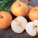 모아식품 이미지