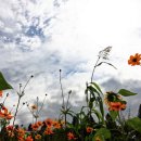 하늘바람 이미지