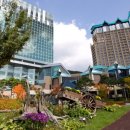 하이원콘도미니엄사우나 이미지