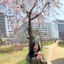 미남커피 지식산업센터점 | 배곧 고기집 삼겹식당 배곧지식산업센터점
