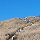 10월12일(토) 정선 민둥산 억새꽃 축제(코레일 연계투어) 이미지