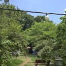 황제집밥식당 이미지